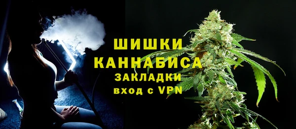 ГАЛЛЮЦИНОГЕННЫЕ ГРИБЫ Абаза