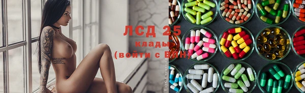 spice Алзамай
