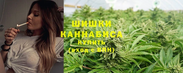 ГАЛЛЮЦИНОГЕННЫЕ ГРИБЫ Абаза