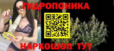 ешки Гатчина