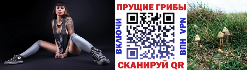 дарк нет Telegram  Когалым  Псилоцибиновые грибы мухоморы  магазин   