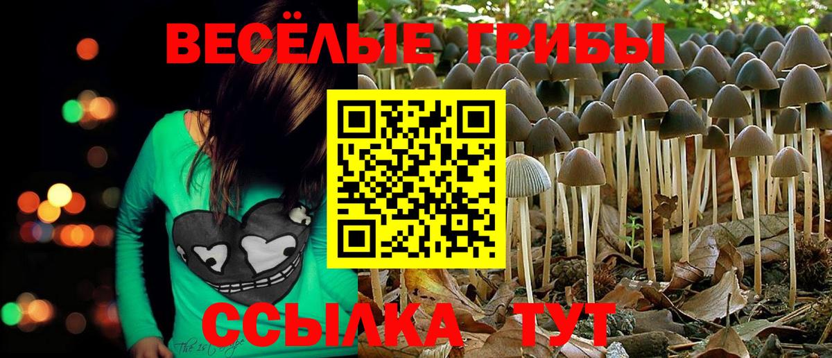 где найти   Галлюциногенные грибы Psilocybe  Псилоцибиновые грибы ЛСД  Вход с VPN  Когалым 