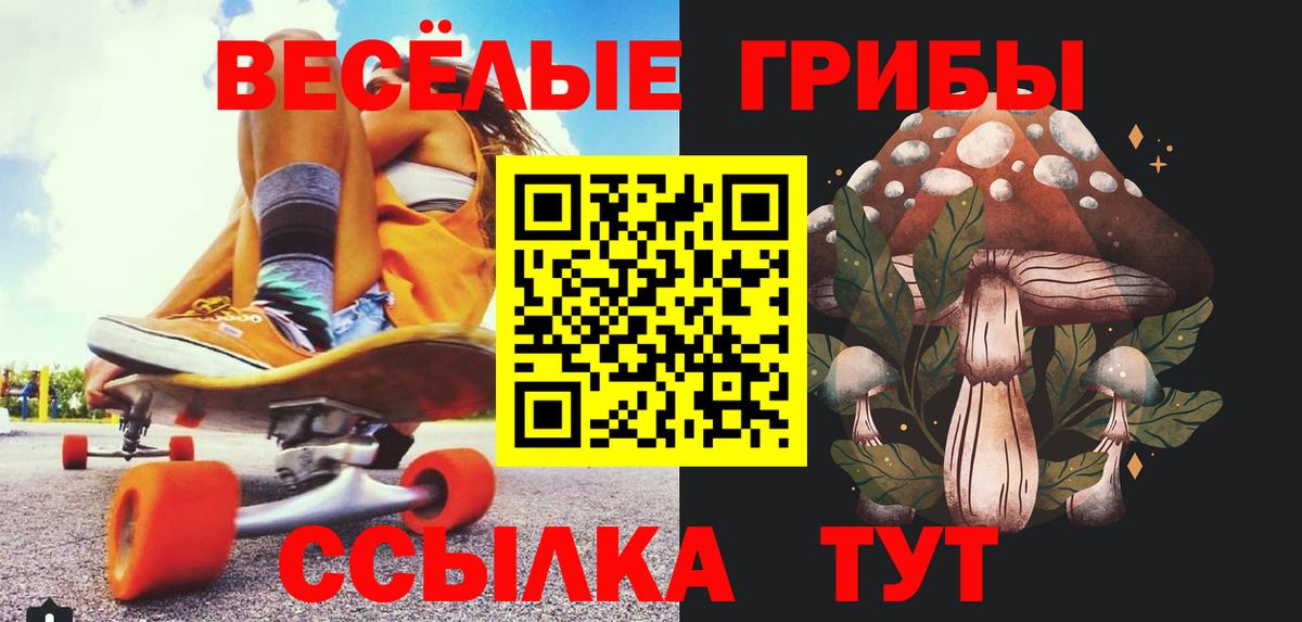 Галлюциногенные грибы Psilocybe Когалым